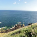 DSC03590